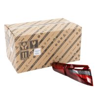 Luce posteriore sinistra