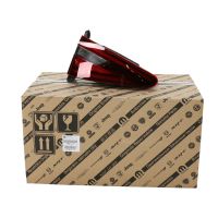 Luce posteriore sinistra