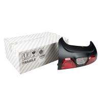 Luce posteriore sinistra