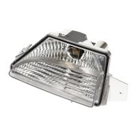 Luce posteriore sinistra