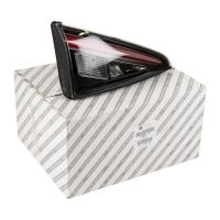 Luce posteriore sinistra