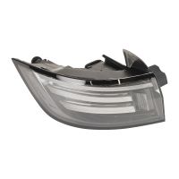 Luce posteriore a sinistra