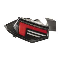 Luce posteriore sinistra