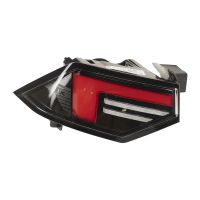 Luce posteriore sinistra