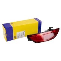 Fendinebbia posteriore sinistro