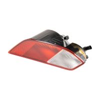 Luce fendinebbia posteriore destra