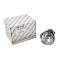 Fendinebbia anteriore destro / sinistro