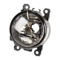 Fendinebbia a sinistra Abbaglianti automatici