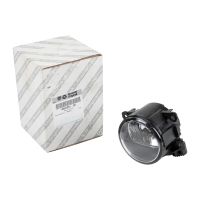 Fendinebbia sinistra interruttore automatico abbaglianti originali