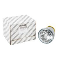 Fendinebbia anteriore