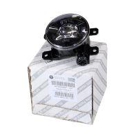 Fari antinebbia a sinistra o destra