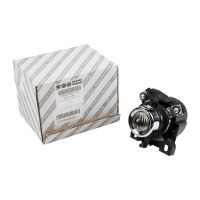 Fendinebbia anteriore destra