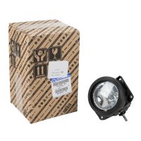 Fari antinebbia destra / sinistra