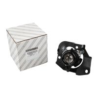 Fari antinebbia a destra