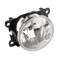 Luce fendinebbia destra / sinistra PSX24W