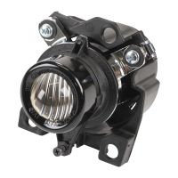 Fendinebbia anteriore sinistro