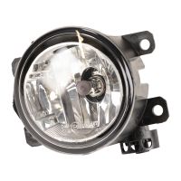 Fendinebbia anteriore sinistra o destra