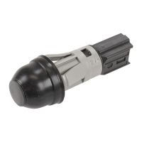 Interruttore della luce del soffitto