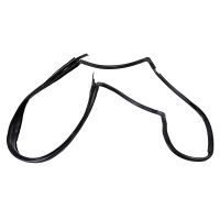 guarnizione parabrezza