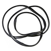 Guarnizione del lunotto posteriore