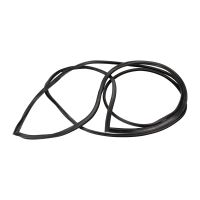 guarnizione parabrezza