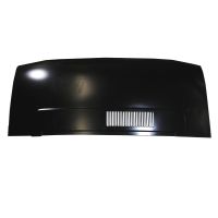 griglia del radiatore