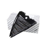 Griglia radiatore anteriore