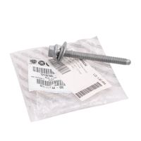 Bullone di montaggio Ruota di scorta