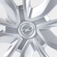 Coprimozzo da 15 pollici