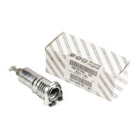 Cilindro della serratura della porta anteriore