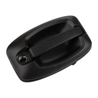 Maniglia della porta posteriore esterna OE