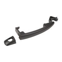 Maniglia porta anteriore sinistra