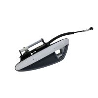 Maniglia della porta anteriore sinistra cromata