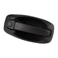 Maniglia della porta anteriore / posteriore