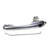 Maniglia della porta anteriore sinistra cromata