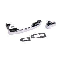 Maniglia della porta cromata posteriore sinistro