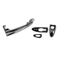 Maniglia della porta cromata anteriore sinistra