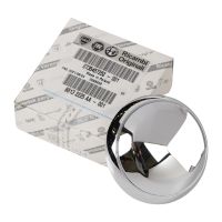 Maniglia della porta all'interno del rivestimento cromato anteriore sinistro