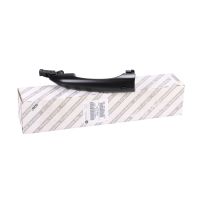 Maniglia della porta sinistra