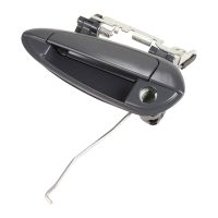 Maniglia della porta anteriore sinistra