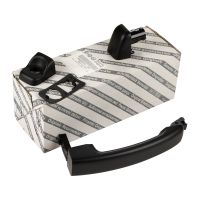 maniglia della porta