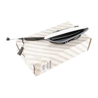 Maniglia della porta anteriore destra interna