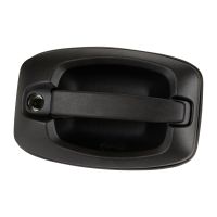 Maniglia porta posteriore PSA OE 1650900980