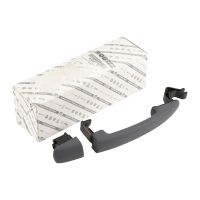 Maniglia porta anteriore sinistra