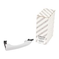 Maniglia della porta anteriore