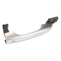 Maniglia della porta anteriore