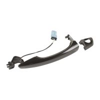 maniglia della portiera anteriore sinistra