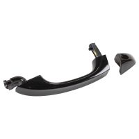 Maniglia della porta anteriore sinistra