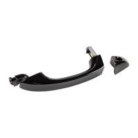 Maniglia della portiera anteriore sinistra