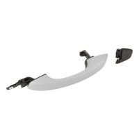 Maniglia della portiera posteriore sinistra